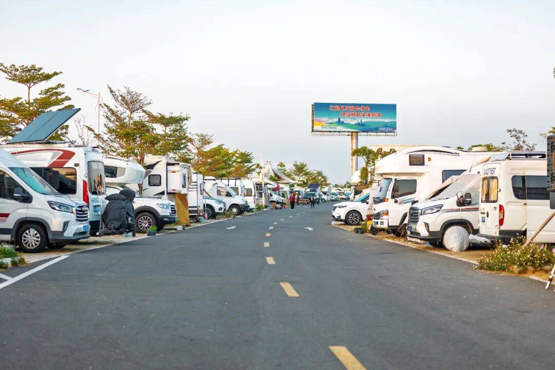 、绿意足“候鸟” 旅游热门目的地！冰球突破冬栖茂名：气候暖、人情浓(图3)